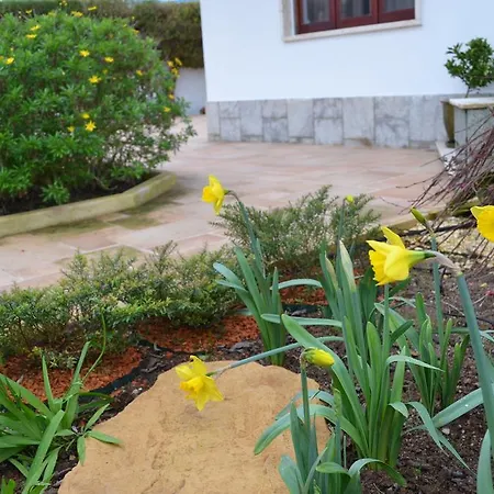 Beija-flor House Hébergement de vacances