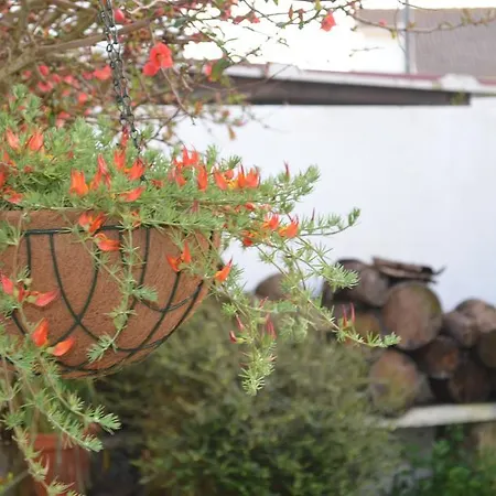 Beija-flor House Ribamar (Torres Vedras)