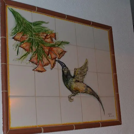 Dom wakacyjny Beija-flor House *