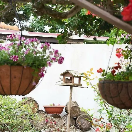 Beija-flor House * Ribamar (Torres Vedras)