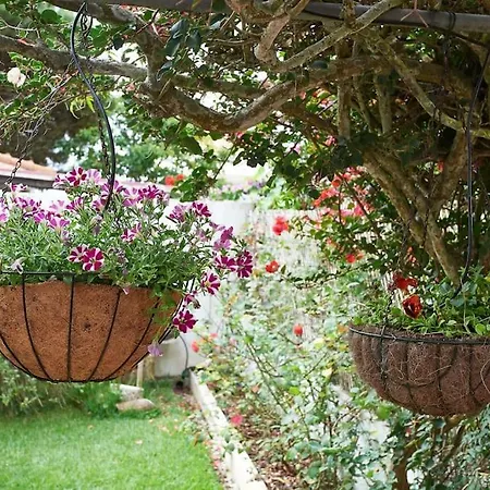 Beija-flor House Dom wakacyjny Ribamar (Torres Vedras)