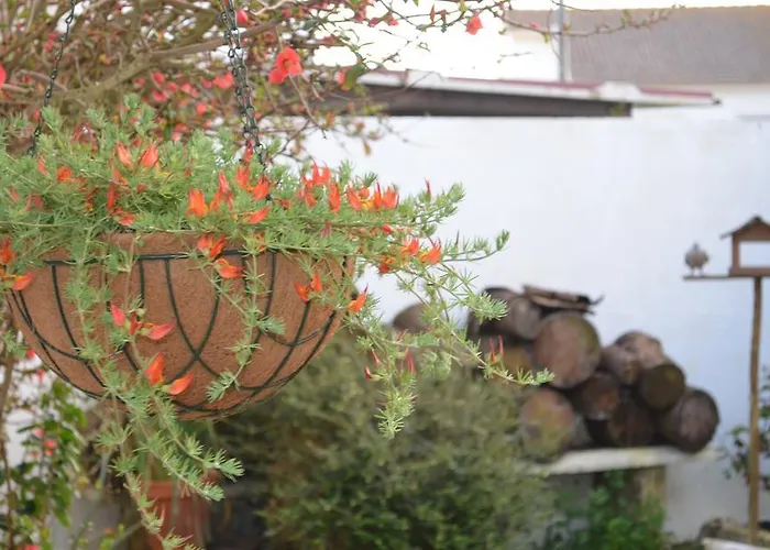 Beija-flor House Ribamar (Torres Vedras)