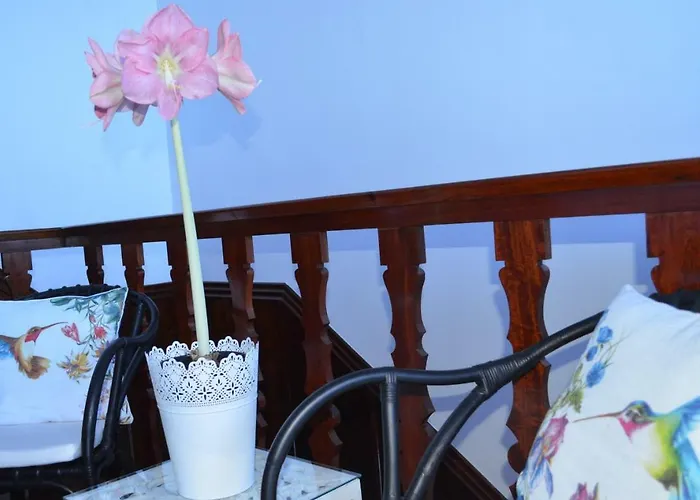 Ferienhaus Beija-flor House Ribamar (Torres Vedras)