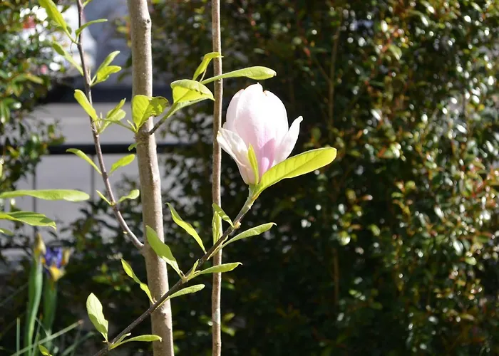 Ferienhaus Beija-flor House