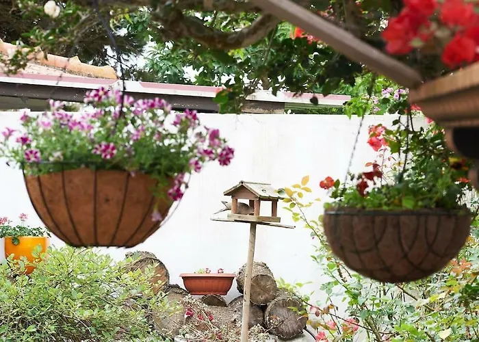 Beija-flor House * Ribamar (Torres Vedras)