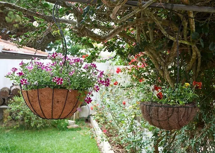 Beija-flor House Ferienhaus Ribamar (Torres Vedras)